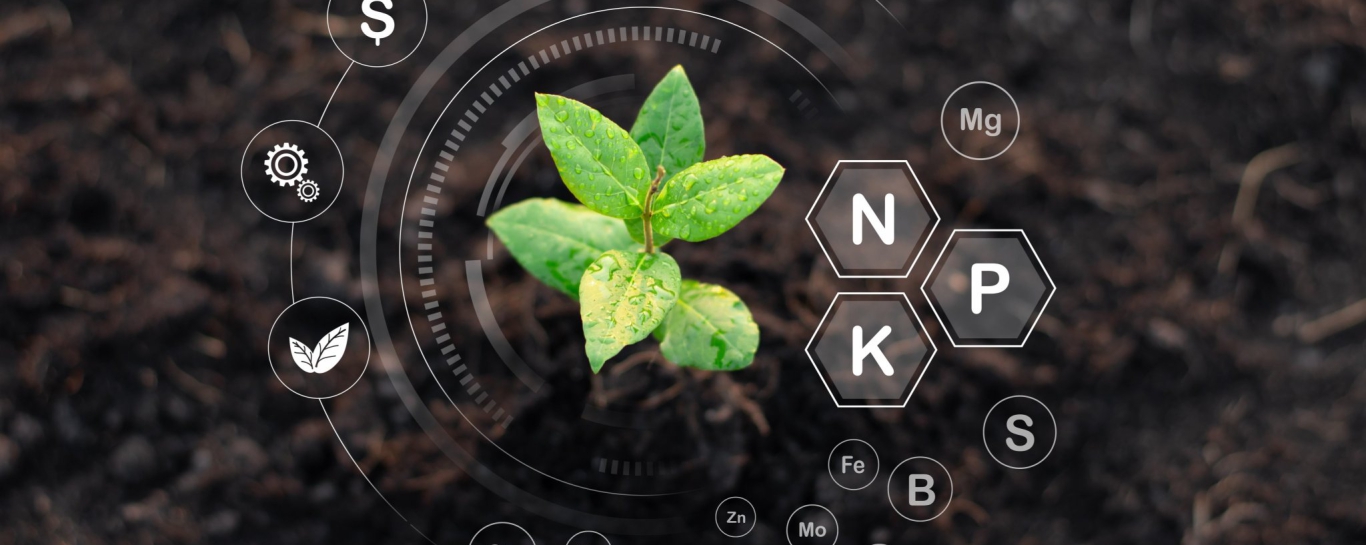 Công ty Agriscience cung cấp nhiều dòng sản phẩm phân bón cao cấp và giải pháp dinh dưỡng cây trồng giúp tăng năng suất chất lượng nông sản