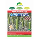 Bầu Sao Lai F1 AGRISTAR 666