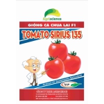 Cà Chua TOMATO SIRIUS 135