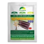 Cà Tím Egg Plant Green Brown 099