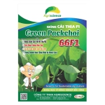 Cải Thìa lai F1 - Green Packchoi 66F1