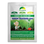 Cải xanh mỡ Green Mustard 666