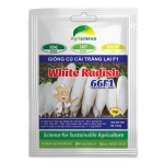 Củ Cải Trắng White Radish 66F1