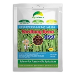 Đậu Đũa hạt nâu YARD LONG BEAN 099 (đuôi tím)