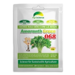 Dền cơm Lá Nhọn Amaranth Green 068