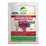Dền đỏ Lá Nhọn Amaranth Red 069