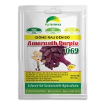 Dền đỏ Lá Tròn Amaranth Purple 069