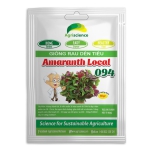 Dền Tiều Amaranth Local 094