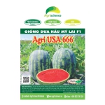 Dưa Hấu AGRI USA 666