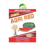 Dưa Hấu AGRI RED 909