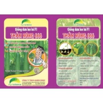 Dưa leo Thần Nông 666