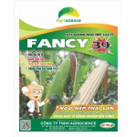 Ngô Nếp lai F1 FANCY 39