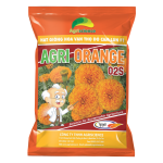 Hoa Vạn Thọ Đỏ Cam Lùn F1 - AGRI ORANGE 02S