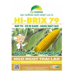 Ngô Ngọt Lai F1 Hi-Brix 79