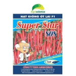 Ớt Sừng Xanh SUPER STAR 808