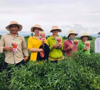 Hội thảo giống ớt chỉ thiên Agri Thai 666 