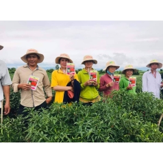 Hội thảo giống ớt chỉ thiên Agri Thai 666 