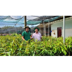 Hội nghị Quản lý chất lượng giống cây ăn quả Phía Nam 2023