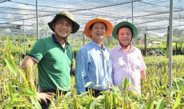 Hội nghị Quản lý chất lượng giống cây ăn quả Phía Nam 2023