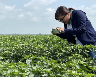 THÔNG BÁO TUYỂN DỤNG THÁNG 05 - 2024