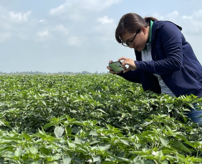 THÔNG BÁO TUYỂN DỤNG THÁNG 05 - 2024