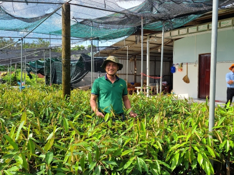 Hội nghị Quản lý chất lượng giống cây ăn quả Phía Nam 2023