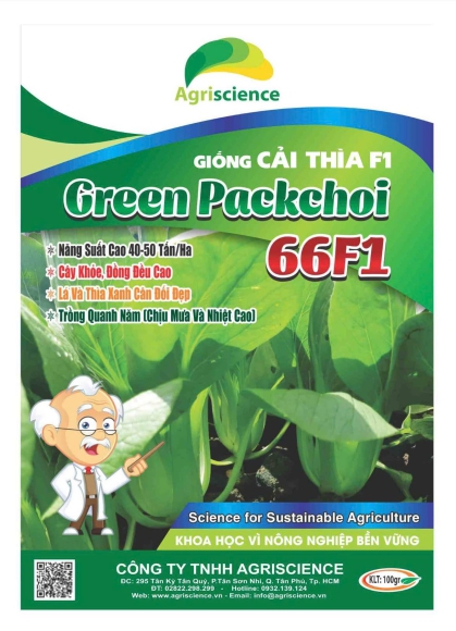 Cải Thìa lai F1 - Green Packchoi 66F1