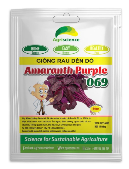Dền đỏ Lá Tròn Amaranth Purple 069