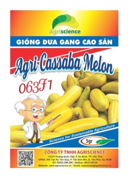 Dưa Gang Cao Sản  Agri Cassaba Melon 063F1