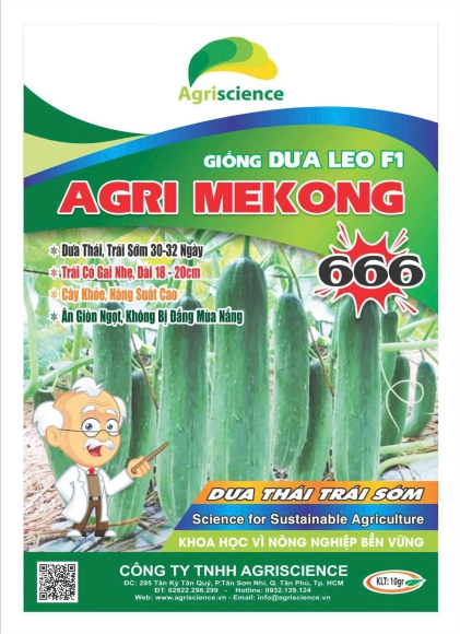 Dưa Leo AGRI MEKONG 666