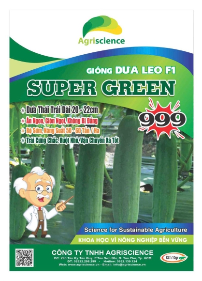 Dưa Leo SUPER GREEN 999