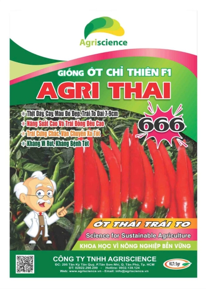 Ớt AGRI THAI 666