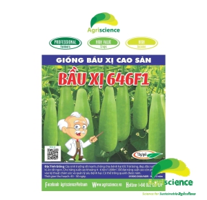 Bầu Xị Cao Sản 646F1