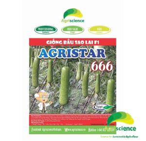 Bầu Sao Lai F1 AGRISTAR 666