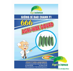 Bí Đao Chanh AGRI WAXGOURD 666