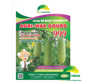 Bí Đao Chanh AGRI WAXGOURD 999