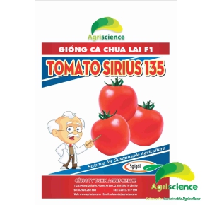 Cà Chua TOMATO SIRIUS 135