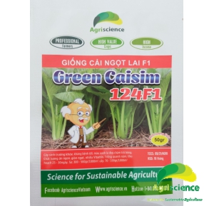 Cải Ngọt lai F1 Green Caisim 124F1