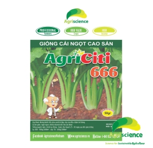 Cải Ngọt Cao Sản AGRI CITI 666