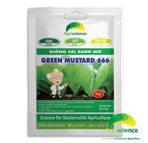 Cải xanh mỡ Green Mustard 666