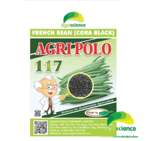 Đậu Cove Hạt Đen Cao Sản AGRI POLO 117