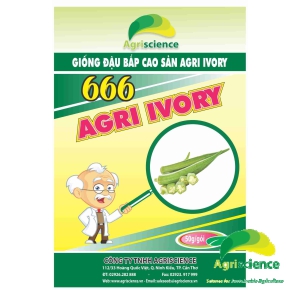 Đậu Bắp Cao Sản AGRI IVORY 666