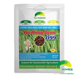 Đậu Đũa hạt nâu YARD LONG BEAN 099 (đuôi tím)