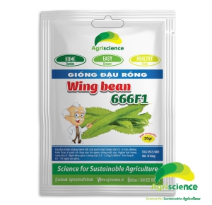 Đậu Rồng WING BEAN 666F1