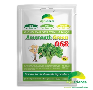 Dền cơm Lá Nhọn Amaranth Green 068