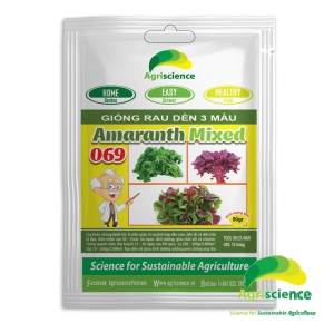 Dền đỏ 3 màu Amaranth Mixed 069