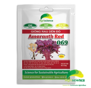 Dền đỏ Lá Nhọn Amaranth Red 069