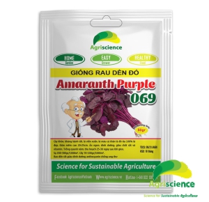 Dền đỏ Lá Tròn Amaranth Purple 069