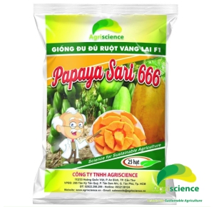 Đu Đủ Ruột Vàng PAPAYA SARI 666