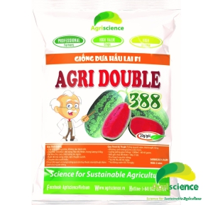 Dưa hấu AGRI DOUBLE 388
